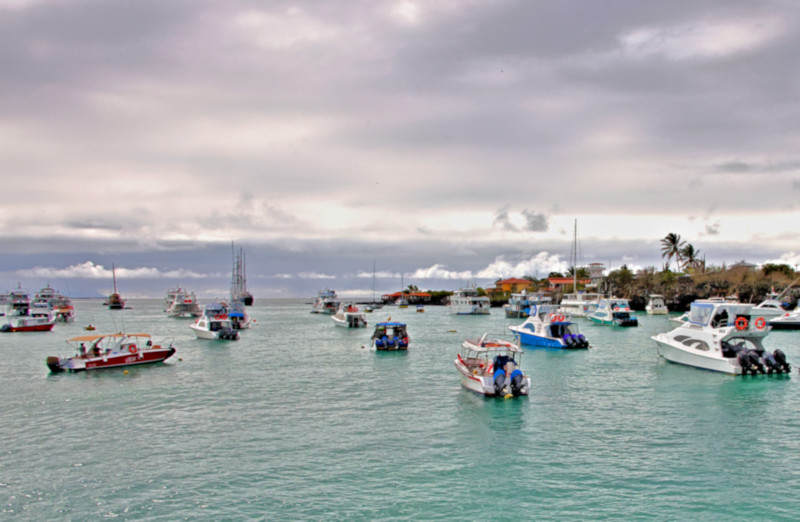 Puerto Ayora, Santa Cruz Island, Galapagos Islands